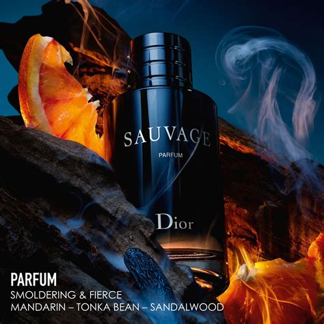 dior sauvage damen parfum|dior sauvage unisex.